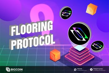 Flooring Protocol là gì? Tổng quan về nền tảng chia nhỏ NFT thành token