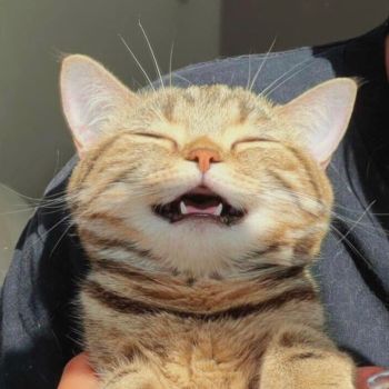 CV - Human Resources Administrator - Linh Chi Nguyen Ngoc