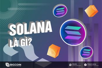 Solana (SOL) là gì? Tổng quan về đồng coin SOL