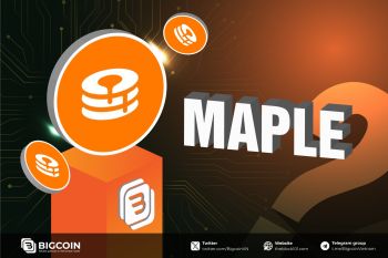 Maple Finance là gì ? Nền tảng cho vay doanh nghiệp phi tập trung