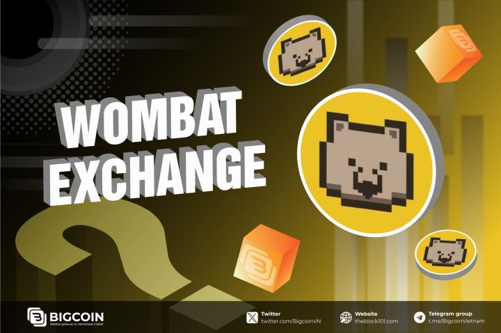 Wombat Exchange là gì ? Sàn DEX không thể thiếu trong BNB Chain