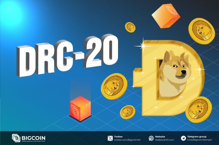 DRC-20 là gì? Sự ra đời và bước tiến mới trên mạng lưới Dogecoin