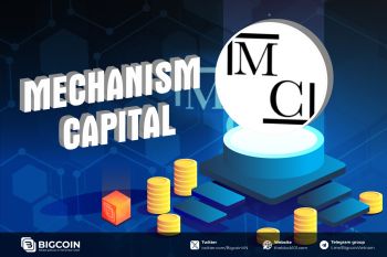 Mechanism Capital là gì? Tổng quan về quỹ đầu tư tiền điện tử hàng đầu