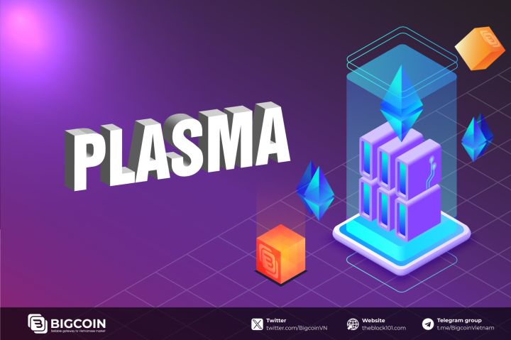 Plasma là gì? Giải pháp mở rộng Ethereum Layer 2 hiệu quả