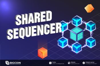 Shared Sequencer là gì? Giải pháp tối ưu cho việc sắp xếp giao dịch Blockchain