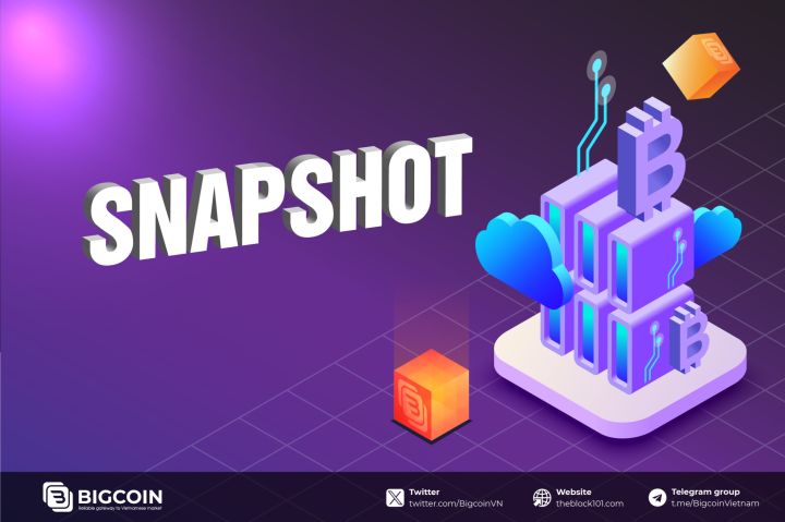 What is a Snapshot? Understanding the Role of Snapshots in the Crypto Market