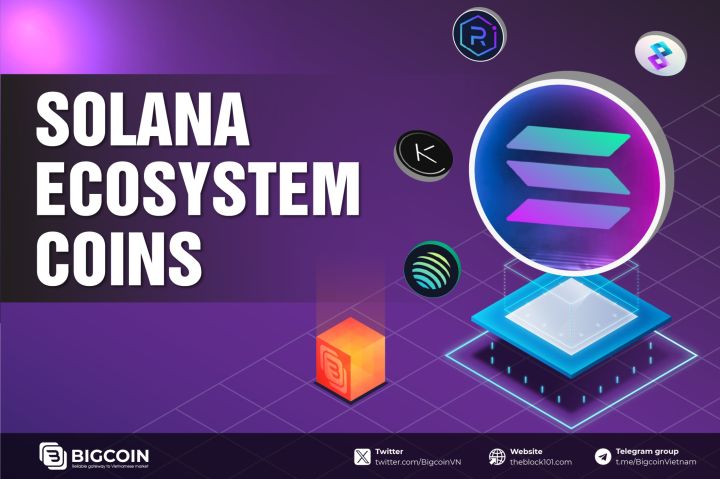 What are Solana Ecosystem Coins? Discover the key tokens powering Solana Blockchain