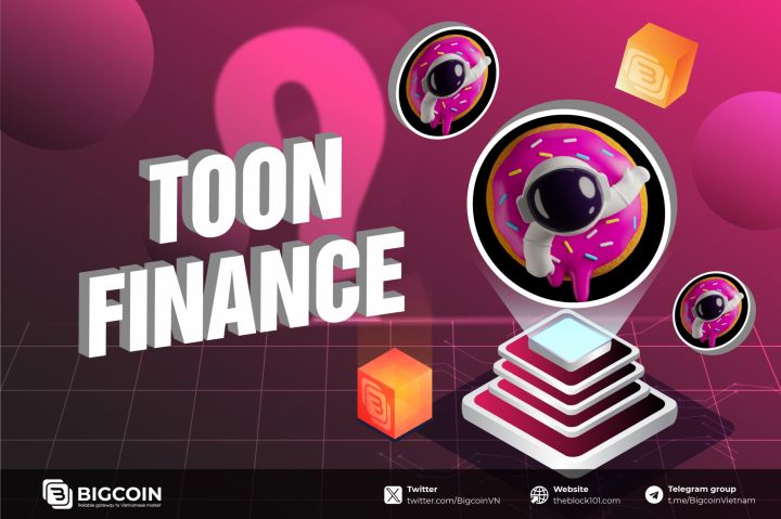 What is Toon Finance? A comprehensive guide to the innovative crypto project