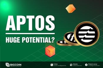 Tổng quan hệ sinh thái Aptos Q3/2024, Blockchain thông lượng cao hàng đầu?