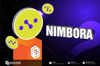 Nimbora - giao thức Defi tăng trưởng ấn tượng trên HST Starknet