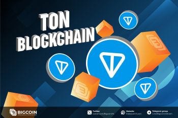 Tổng quan hệ sinh thái TON Blockchain, chỉ là những bước khởi đầu?